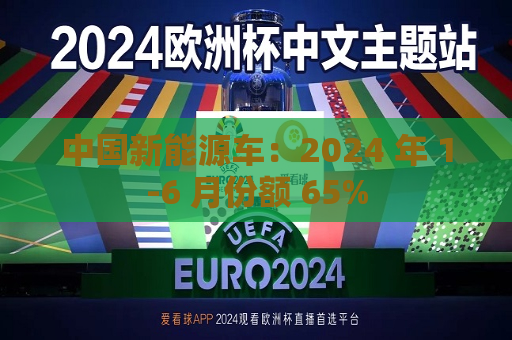 中国新能源车：2024 年 1-6 月份额 65%  第1张