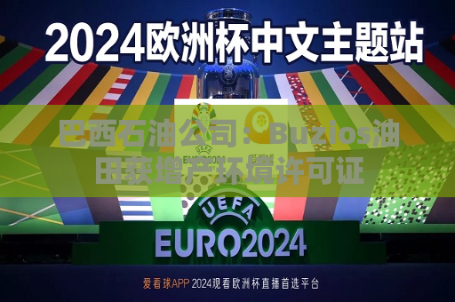 巴西石油公司：Buzios油田获增产环境许可证  第1张