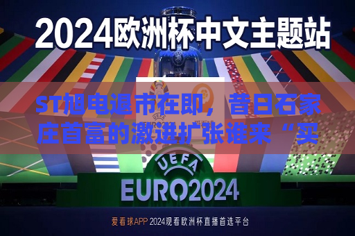 ST旭电退市在即，昔日石家庄首富的激进扩张谁来“买单”？  第1张
