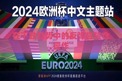 在下跌趋势中的反弹应轻仓操作  第1张