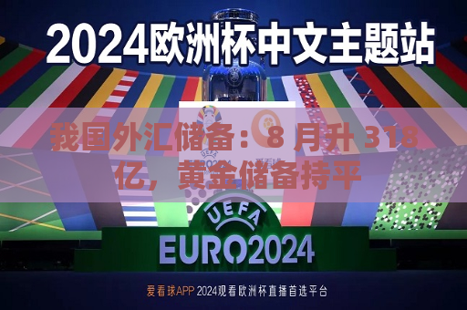 我国外汇储备：8 月升 318 亿，黄金储备持平  第1张