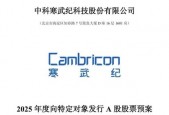 2900亿巨头突发！拟募资近50亿元，加码投资大模型芯片平台！