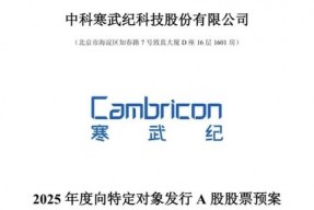 2900亿巨头突发！拟募资近50亿元，加码投资大模型芯片平台！