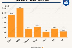 硅谷成大选赢家！七巨头市值一周增9000亿美元，马斯克3000亿美元身家稳居全球之一