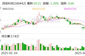 5亿-10亿元回购：润泽科技周超男押注AIDC