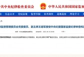  *** 副主席王建军被查