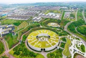 “大红包”！全年分红将超87亿元！泸州老窖2024年净利润134.73亿元