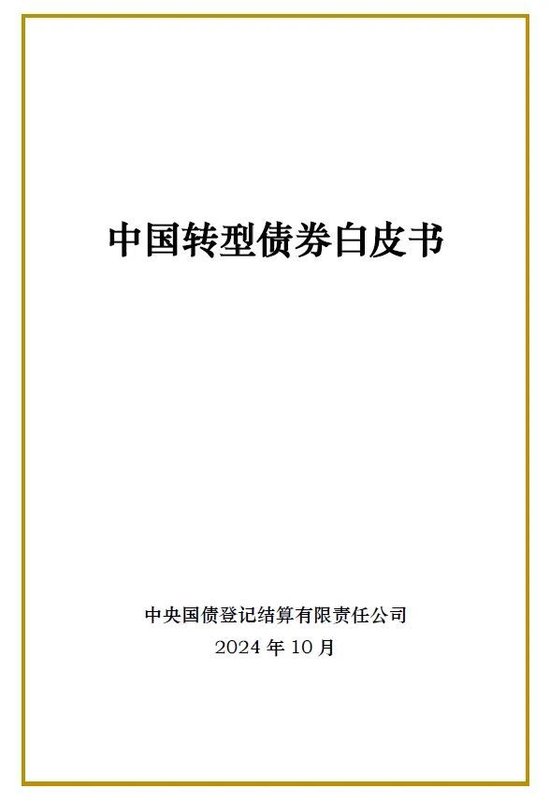 中国转型债券白皮书  第1张