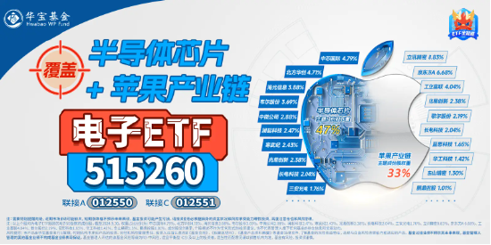 发生了什么？半导体突然爆发，超130亿主力资金狂涌！电子ETF（515260）盘中飙涨近3%，中芯国际涨超12%  第3张