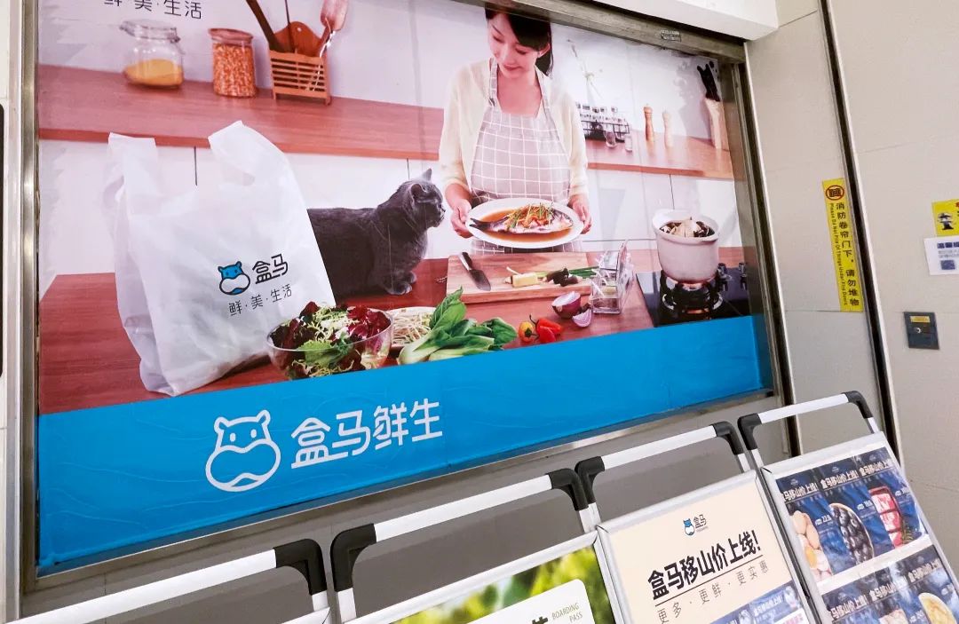 阿里港股单日狂飙14%，年内暴涨70%暗含何种新叙事？  第3张